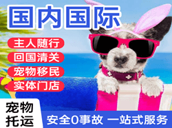 呼和浩特机场货运国际宠物托运 【国
